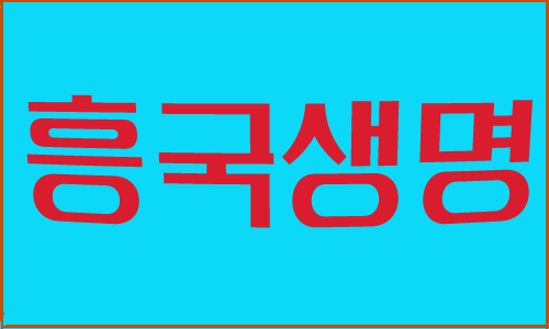 흥국생명-본사/실장,상담원 / 인바운드-평균400만/상담원+실장1명